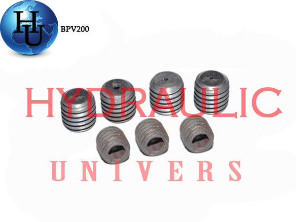 reparatii pompe hidraulice BPV200